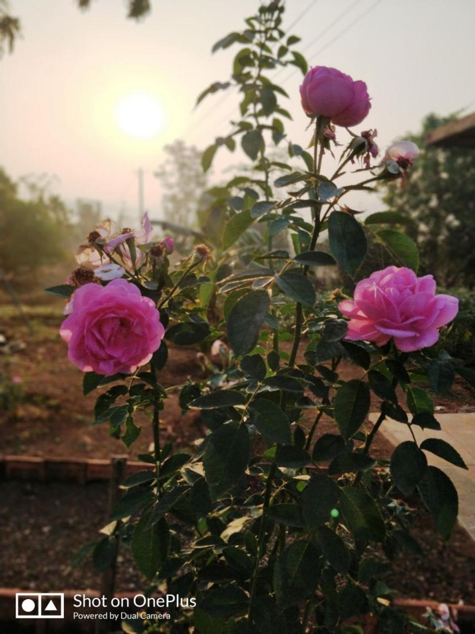 Shree Samarth Farmhouse Murūd Extérieur photo