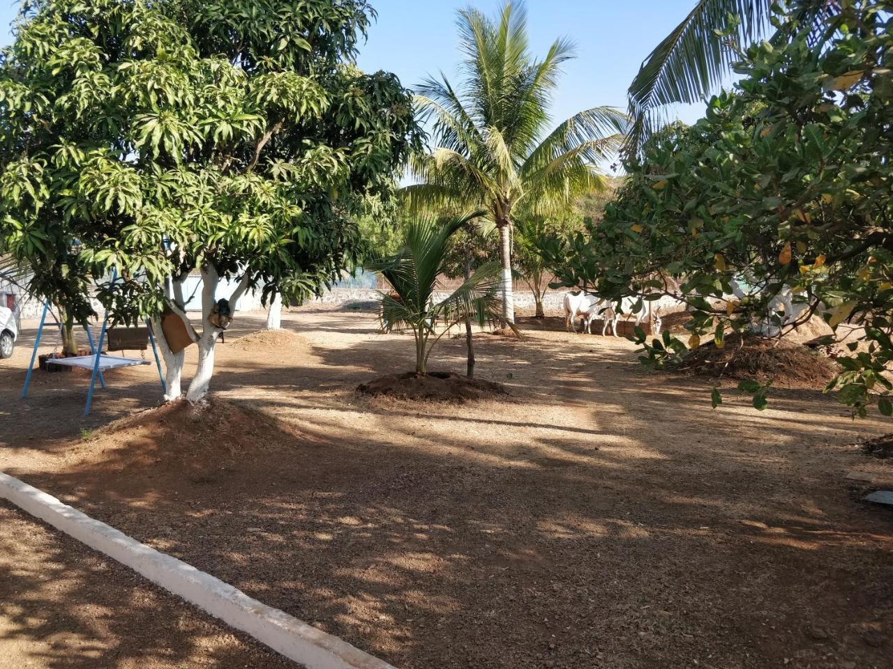 Shree Samarth Farmhouse Murūd Extérieur photo