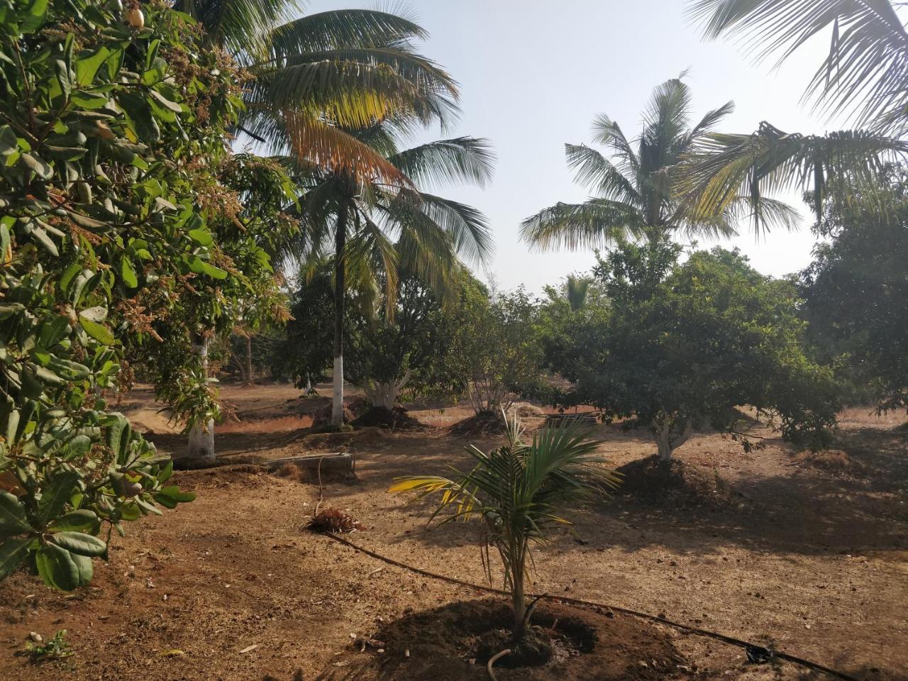 Shree Samarth Farmhouse Murūd Extérieur photo